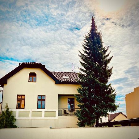 Apartman U Smrku Dvůr Králové nad Labem Buitenkant foto